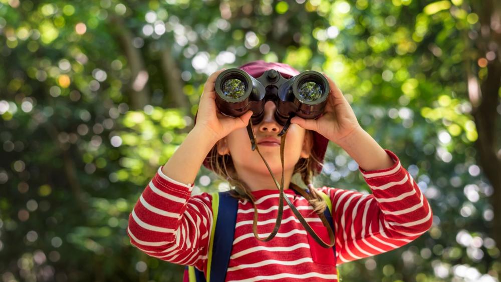 Breadth and Depth in the Learning Process