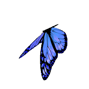 IEYP International